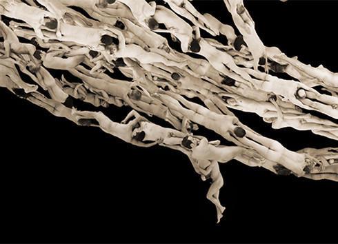 组图：意大利艺术家用千人裸体打造精致“羽毛”