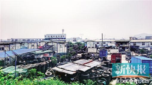 广州废轮胎市场恶臭污染藏火患 村民投诉遭恐吓
