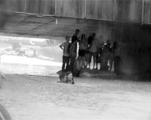 南京暴雨突袭大巴被淹 23名乘客爬上车顶求救