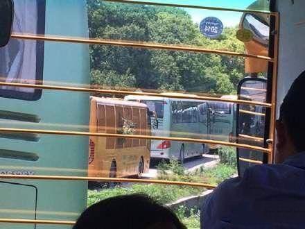 上海载400多游客观光车被困动物园猛兽区(图)