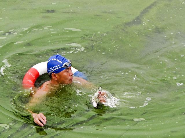 组图：安徽巢湖现蓝藻集聚 市民下河捞鱼