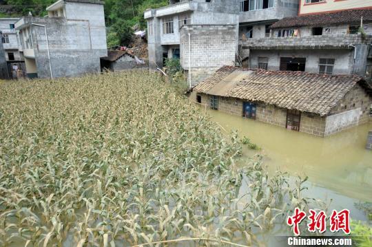 广西马山多个村屯遭洪水围困成孤岛 武警救援