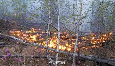大兴安岭发生森林火灾 大火仍在扑救