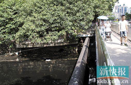 广州八区去年投2.8亿治水 不少河涌仍发出恶臭