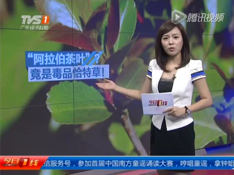 相关视频:“阿拉伯茶叶”混入广东 经调查实为毒品截图