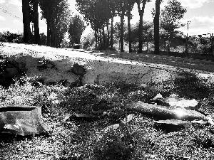 北京一辆轿车逆行撞公交3人身亡 受伤乘客已出院