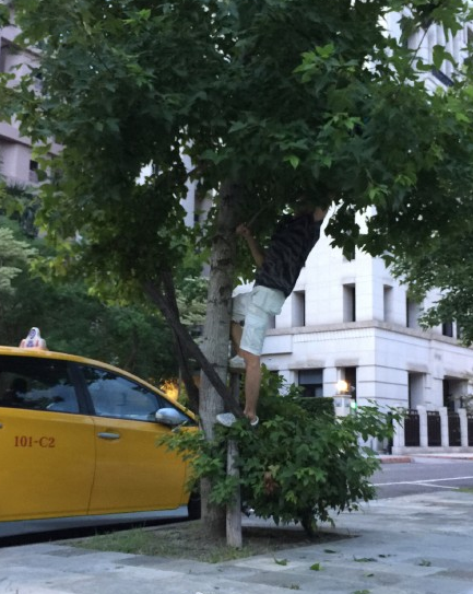 林志颖教儿子玩电动直升机 Kimi大长腿抢镜