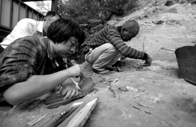 周口店发掘“北京人”用火新证 或再次发现遗骸