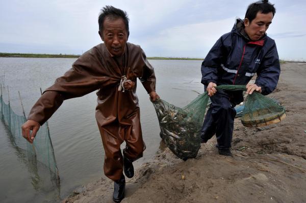 天津渔民诉康菲漏油污染案获立案 已维权四年
