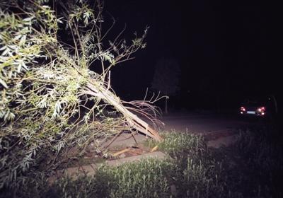 北京密云城管执法车肇事致2死2伤 司机排除酒驾