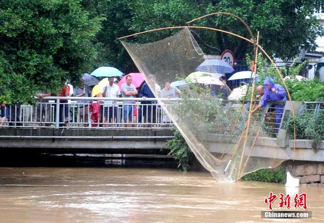 福建霞浦市民台风过后街头争相捕捉跳鱼
