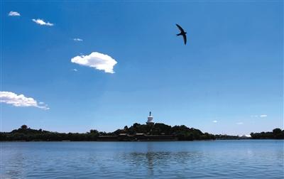 北方七省区市为保抗战阅兵 统一强化减排超30%