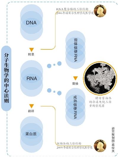 施一公回应“诺奖级”研究：不为奖做课题