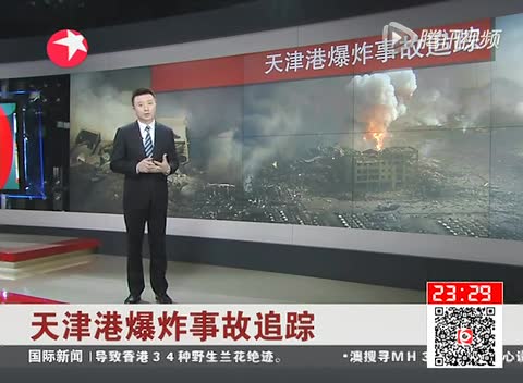 谁是瑞海公司的真正控制人截图