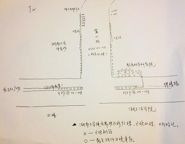 长沙修地铁砍古树 官方：因两高校要求分开建站