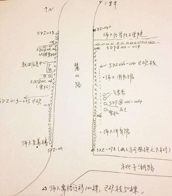 长沙修地铁砍古树 官方：因两高校要求分开建站
