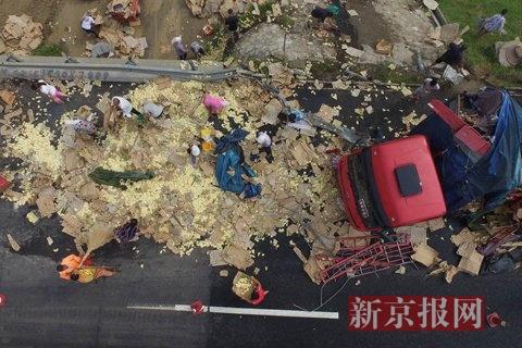 禽类运输车倾翻 数万只小鸡散落遭村民捕抓(图)