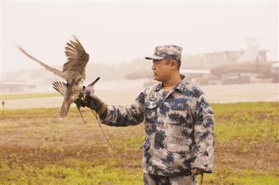 探访空军阅兵村：利用猕猴拆鸟窝 飞前先放猎鹰