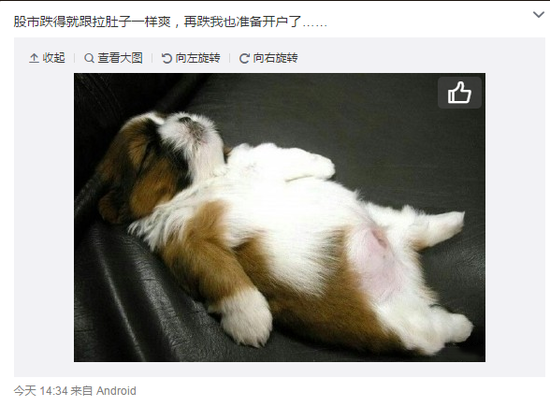 沪指跌破3000见证历史?离史上最低95.79点还远呢