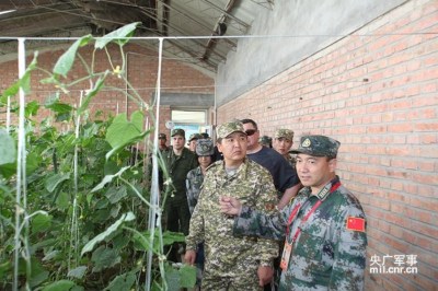 上合军演外军军官参观解放军猪舍