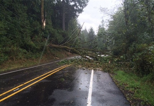 美国华盛顿州遭暴风雨袭击造成至少2人丧生