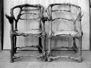 老农8年种出“家具树” 让榆树“长成”家具