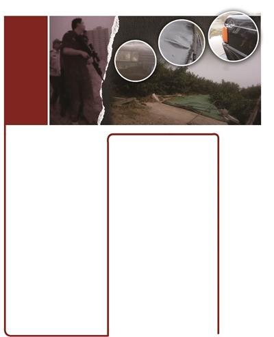 受惊水牛伤人冲出屠宰场 民警连夜追击击毙(图)