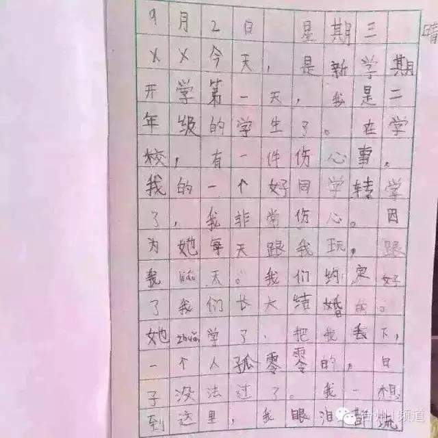 二年级男生写“相思日记”：日子没法过了(图)