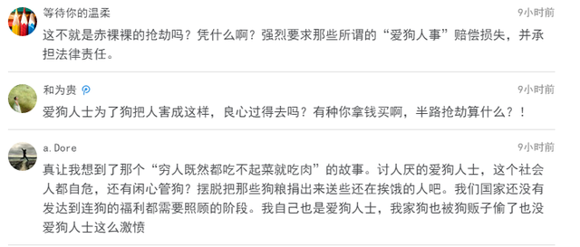 又见拦车救狗，善后仍无出路