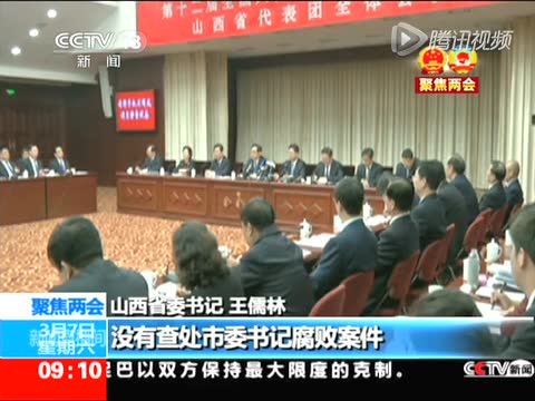 王儒林称山西腐败不是个案 它是一坨一坨的截图