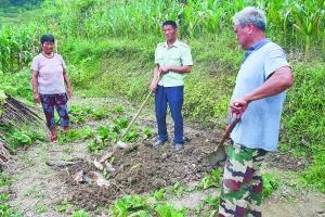 贵阳一鱼塘千条鲤鱼跃出水面 半小时死鱼2千多斤