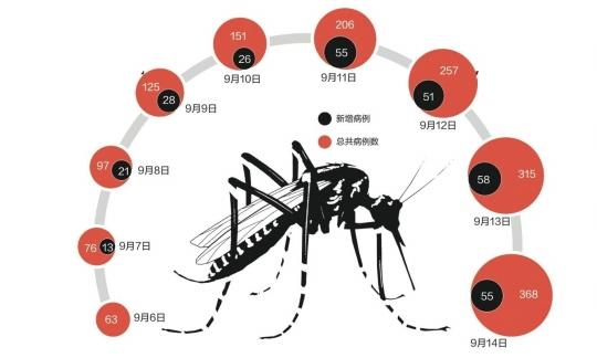 廣東潮州登革熱暴發(fā)：已報(bào)告368病例 134人住院