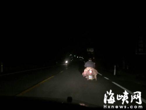 两男子国道边偷上千斤病死猪 载往福州时被截
