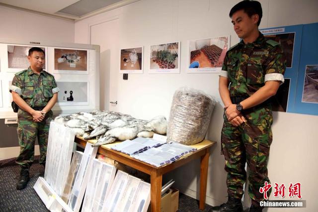 检获大批毒品，包括可卡因、大麻，总值约6700万元，另外亦检获私烟和赌款。中新社发 洪少葵 摄