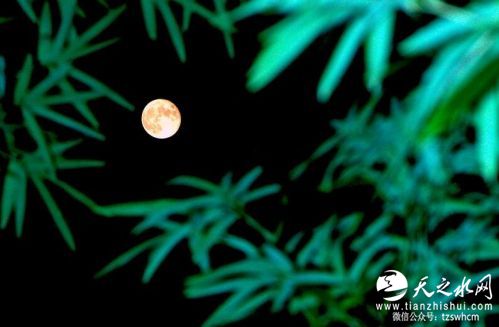 _[2[QX54`P}N)Y%@F(N4KFP