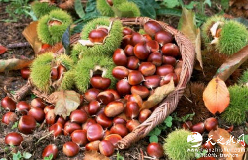 _49V5~HZ{)D6)BC0LX{1%IU