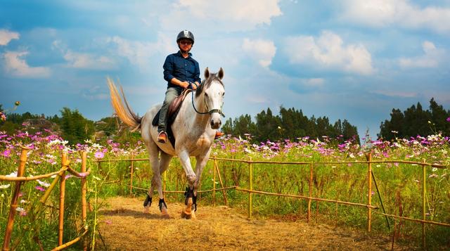 首届石林国际阿诗玛文化节系列活动“十一”呈现