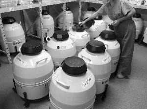 工作人员在检查储存冷冻胚胎的液氮罐 通讯员供图