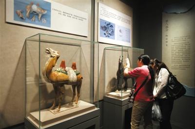 故宫展出文物保护修复技艺 上千碎片绢本无裂痕