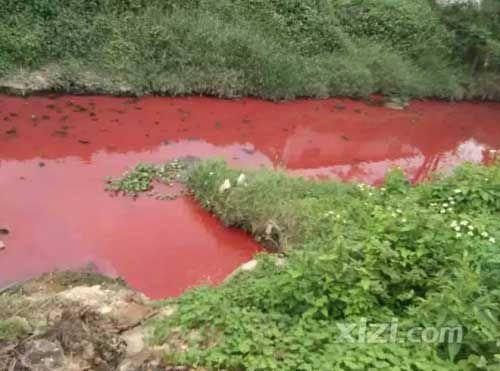 广东惠州被曝现一条血河 网友喊环保局长来游泳