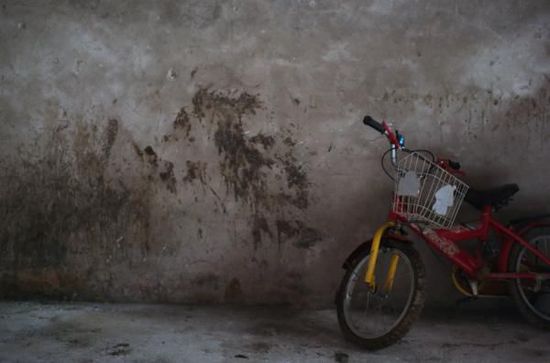 刘华姬被捕后，妻子被送到阜阳一家医院进行治疗，四个孩子也被送往了福利院。