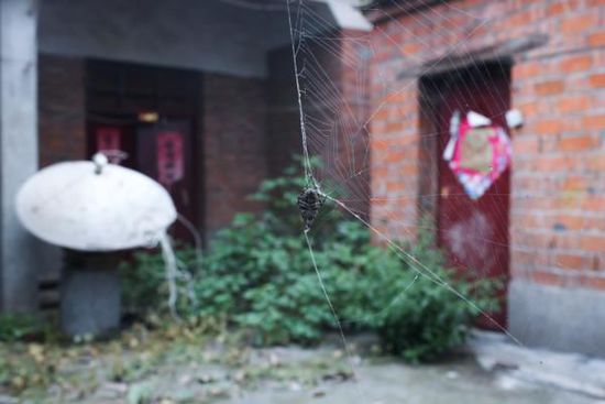 2015年9月29日，安徽省涡阳县