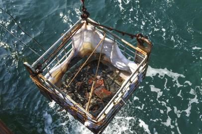 10月4日，“丹东一号”再次出水一批水下文物，这是本次打捞出水的“致远舰”舷窗。