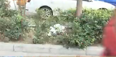 女子白天当街产婴后抛弃路旁 与男友骑车离去