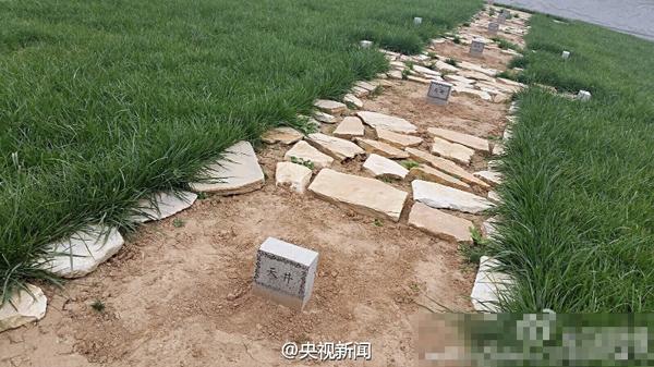 陕西上官婉儿墓回填 将建遗址公园(组图)