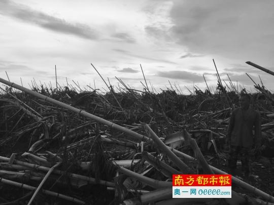 广东一看守所遭灌水围墙倒塌 300在押人员被转运