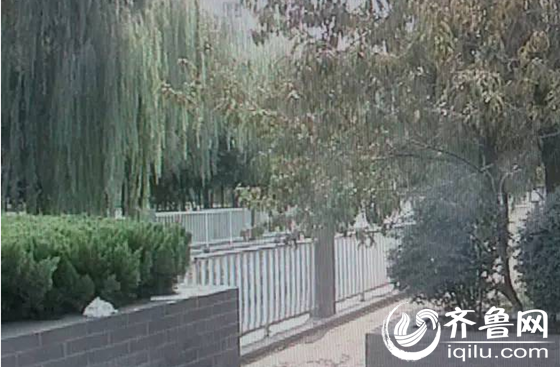 八旬老人自杀儿子被扔鸡蛋 居民称其子为大学教授