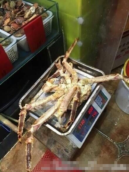 青岛一店家螃蟹称重前拔腿 称完必须买账单2800