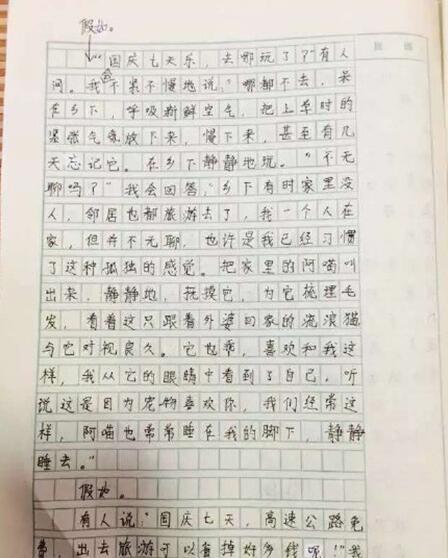 浙江6年级女生作文：高速变慢速 堵车堵成羊肉串