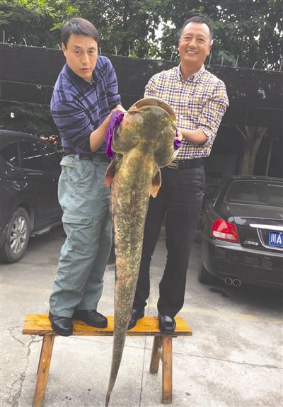 四川男子周旋两小时 水库中钓起86斤